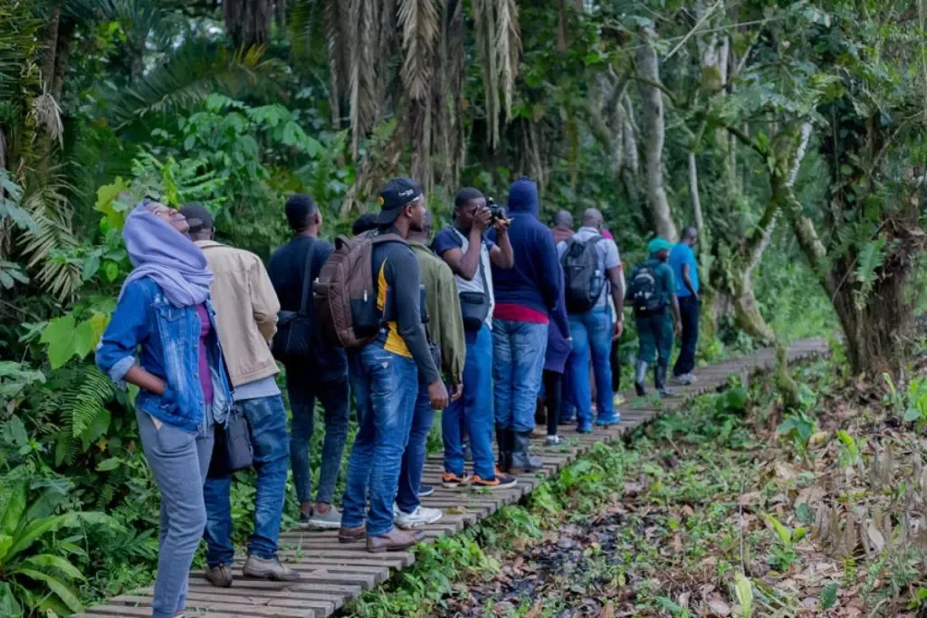 A line of walkers, seen from the shoulders down, following a narrow timber boardwalk single file between ferns and undergrowth.